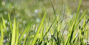 nature04